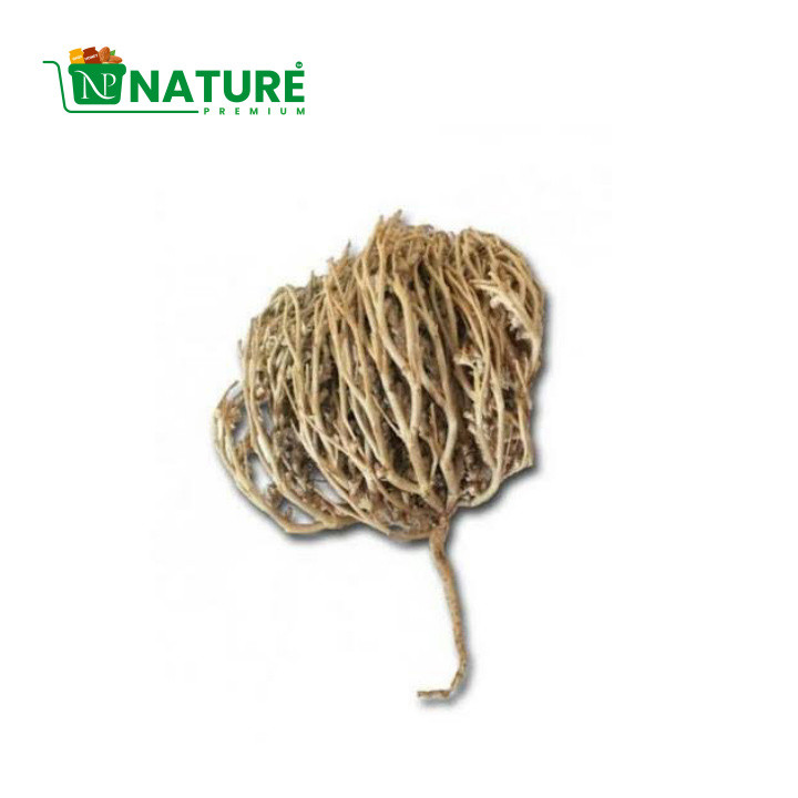 মরিয়ম ফুল (কাফ মারিয়াম): পরিচিতি, ব্যবহার ও ঐতিহ্য