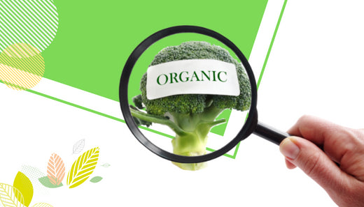 Best Selling Products — সর্বাধিক বিক্রিত পণ্য