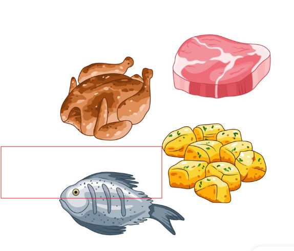 Fish and meat|মাছ ও মাংস