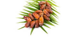 Dates and fruits|খেজুর ও ফ্রুটস