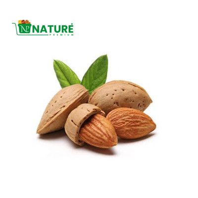 Almond nut|কাঠ বাদাম,৫০০ গ্রাম ৭৫০ টাকা ১ কেজি ১৪০০ টাকা!