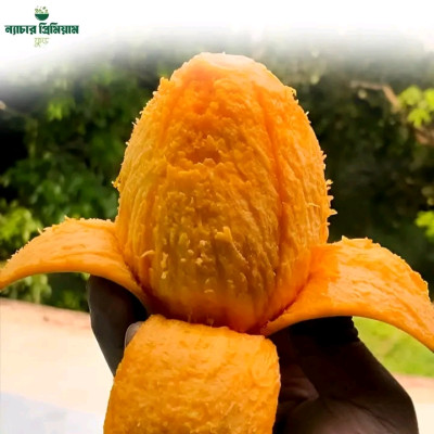 Himsagar Mango|হিম সাগর আম