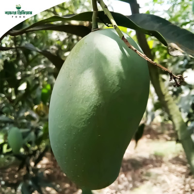 Amrapali|আম্রপালি (নওগার মাক্তাপুরের নিজস্ব বাগান থেকে সংগ্রহিত)