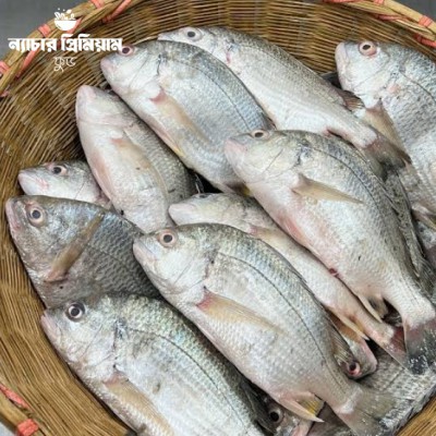 Shundarbans Datina Fish/সুন্দরবনের দাতিনা মাছ